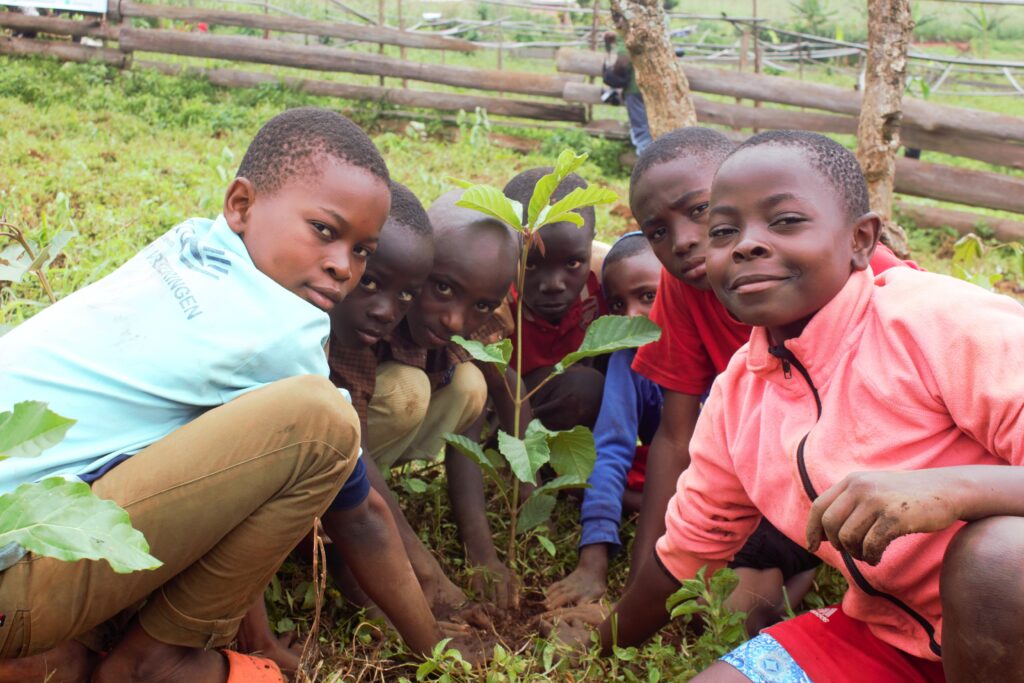 LIMBI_tree_planting_2025
